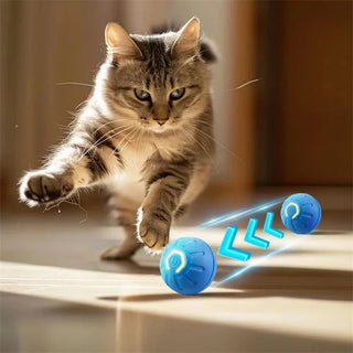 RoboPaw FunBall: USB-aufgeladener Interaktiver Spielball für Hunde und Katzen – Automatisch Bewegend und Springend“