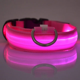 GlowSafe LED Hundeleine & Halsband Set