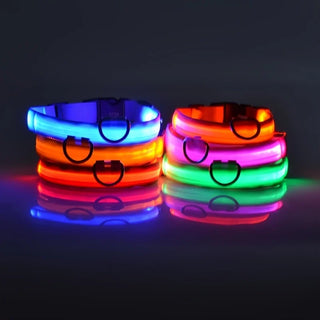 GlowSafe LED Hundeleine & Halsband Set